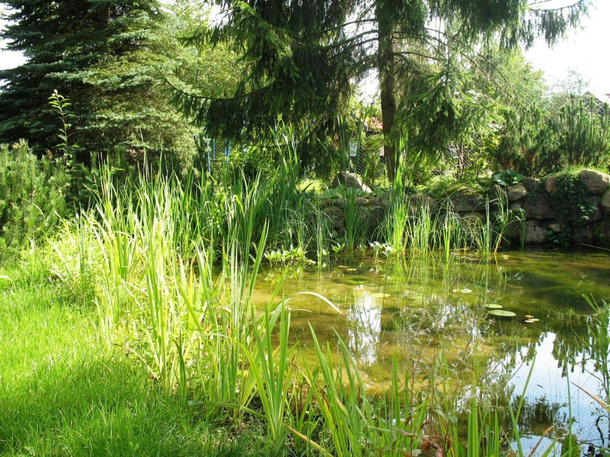 Osrodek Szeligi Hotel Elk Luaran gambar