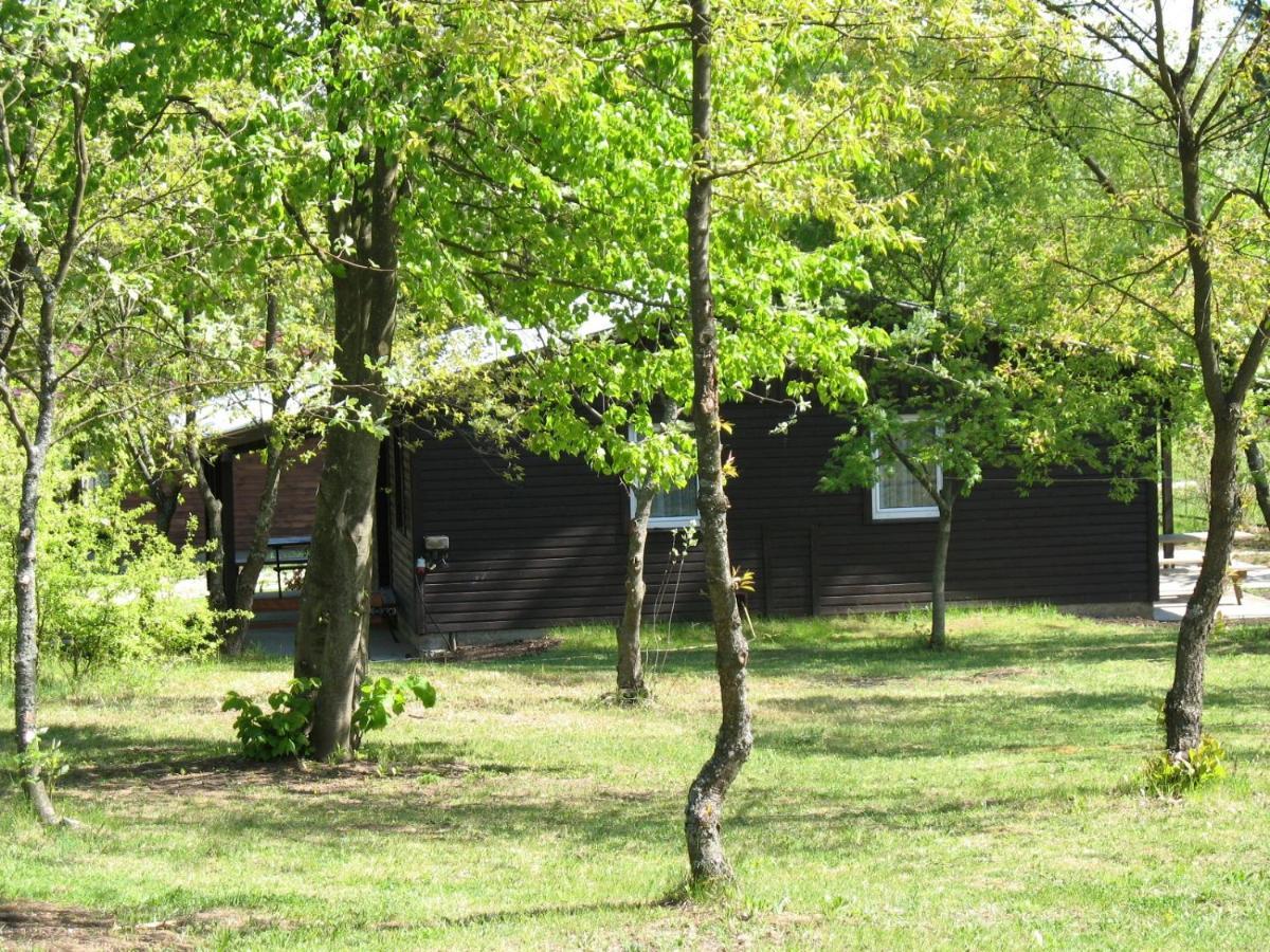 Osrodek Szeligi Hotel Elk Luaran gambar